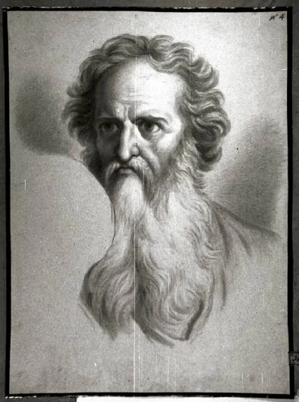 Ritratto di uomo - Museo Civico Ala Ponzone Cremona
